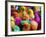 Artificially Colored Chicks Crowd Together-null-Framed Photographic Print