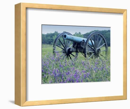 Artillery Cannon, Petersburg National Battlefield Park, Virginia, USA-Charles Gurche-Framed Photographic Print