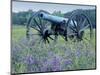 Artillery Cannon, Petersburg National Battlefield Park, Virginia, USA-Charles Gurche-Mounted Photographic Print