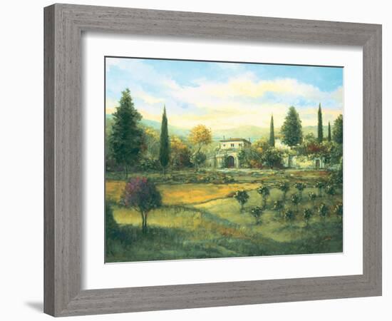 Artimino-Joe Sambataro-Framed Art Print