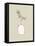 Artisan Chic Potted Branch 1-Sweet Melody Designs-Framed Stretched Canvas