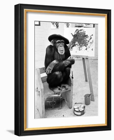 Artist Chimp 1955-Williams-Framed Photographic Print