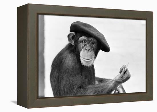 Artist Chimp 1955-Williams-Framed Premier Image Canvas