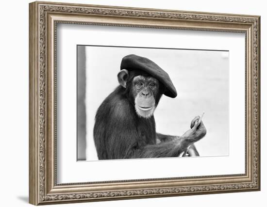 Artist Chimp 1955-Williams-Framed Photographic Print