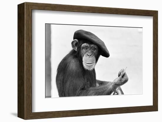 Artist Chimp 1955-Williams-Framed Photographic Print