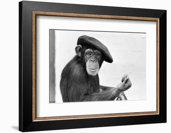 Artist Chimp 1955-Williams-Framed Photographic Print