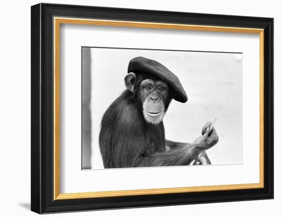 Artist Chimp 1955-Williams-Framed Photographic Print