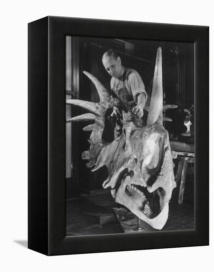 Artist Coloring Model Made from Original Skull of Styracosaurus, American Museum of Natural History-Margaret Bourke-White-Framed Premier Image Canvas