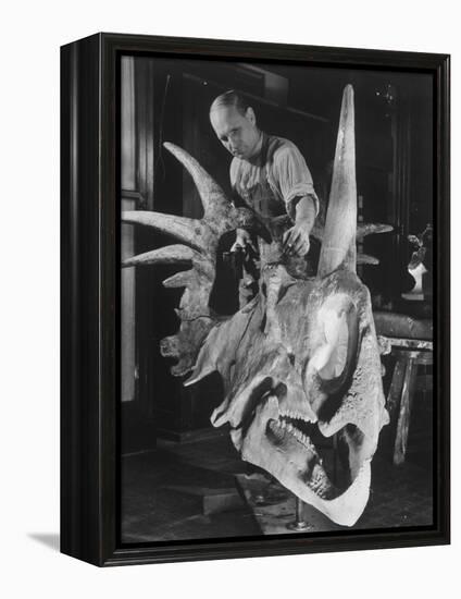 Artist Coloring Model Made from Original Skull of Styracosaurus, American Museum of Natural History-Margaret Bourke-White-Framed Premier Image Canvas