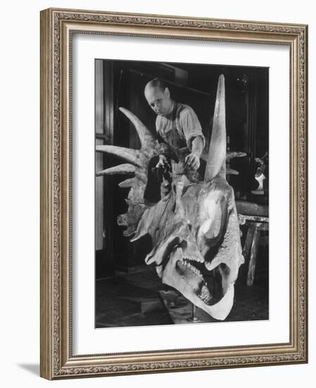 Artist Coloring Model Made from Original Skull of Styracosaurus, American Museum of Natural History-Margaret Bourke-White-Framed Photographic Print