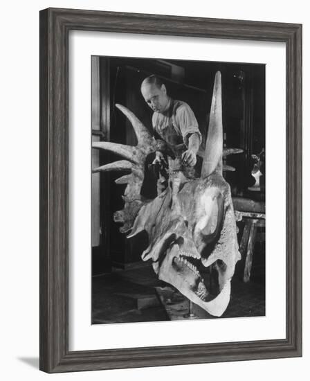 Artist Coloring Model Made from Original Skull of Styracosaurus, American Museum of Natural History-Margaret Bourke-White-Framed Photographic Print