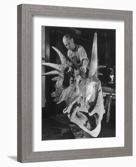 Artist Coloring Model Made from Original Skull of Styracosaurus, American Museum of Natural History-Margaret Bourke-White-Framed Photographic Print