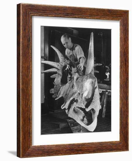 Artist Coloring Model Made from Original Skull of Styracosaurus, American Museum of Natural History-Margaret Bourke-White-Framed Photographic Print