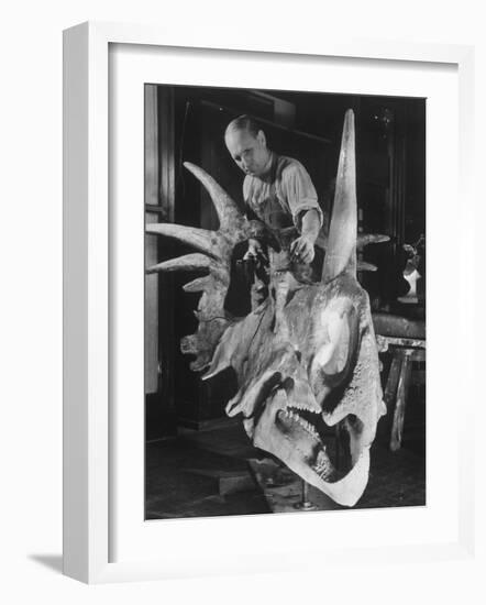 Artist Coloring Model Made from Original Skull of Styracosaurus, American Museum of Natural History-Margaret Bourke-White-Framed Photographic Print