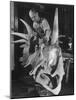 Artist Coloring Model Made from Original Skull of Styracosaurus, American Museum of Natural History-Margaret Bourke-White-Mounted Photographic Print