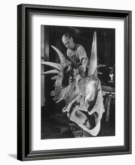 Artist Coloring Model Made from Original Skull of Styracosaurus, American Museum of Natural History-Margaret Bourke-White-Framed Photographic Print