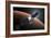 Artist Concept of Nasa's Mars Atmosphere and Volatile Evolution Mission-null-Framed Premium Giclee Print