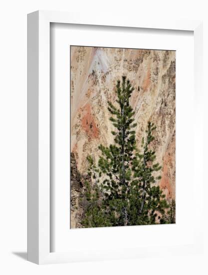 Artist Point, Grand Canyon of the Yellowstone, Yellowstone National Park, Wyoming, USA-Roddy Scheer-Framed Photographic Print