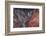 Artist Point-Belinda Shi-Framed Photographic Print