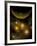 Artist's Concept Illustrating a Star Cluster in the Milky Way Galaxy-Stocktrek Images-Framed Photographic Print