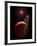 Artist's Concept of a Gas Giant Planet Orbiting a Red Dwarf K Star-Stocktrek Images-Framed Photographic Print