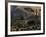 Artist's Concept of a Science Fiction Alien Landscape-Stocktrek Images-Framed Photographic Print