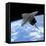 Artist's Concept of a Space Shuttle Entering Earth Orbit-Stocktrek Images-Framed Premier Image Canvas