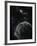 Artist's Concept of a Terrestrial Planet-Stocktrek Images-Framed Photographic Print