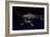 Artist's Concept of One of the Twin Voyager Spacecraft-null-Framed Art Print