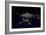 Artist's Concept of One of the Twin Voyager Spacecraft-null-Framed Art Print