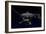 Artist's Concept of One of the Twin Voyager Spacecraft-null-Framed Art Print