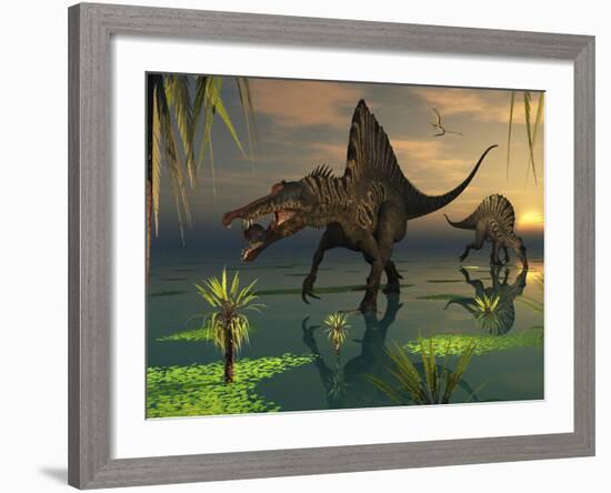 Artist's Concept of Spinosaurus-Stocktrek Images-Framed Photographic Print