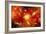 Artist's Concept of the Big Bang Theory-null-Framed Art Print