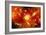 Artist's Concept of the Big Bang Theory-null-Framed Art Print