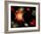 Artist's Concept of the Cosmic Wonders of the Universe-Stocktrek Images-Framed Photographic Print