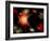 Artist's Concept of the Cosmic Wonders of the Universe-Stocktrek Images-Framed Photographic Print