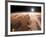 Artist's Concept of the Valles Marineris Canyons on Mars-Stocktrek Images-Framed Photographic Print