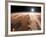 Artist's Concept of the Valles Marineris Canyons on Mars-Stocktrek Images-Framed Photographic Print