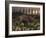 Artist's Concept of Triceratops-Stocktrek Images-Framed Photographic Print