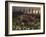 Artist's Concept of Triceratops-Stocktrek Images-Framed Photographic Print