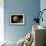 Artist's Depiction of a Gas Giant Planet Surrounded by Three Moons-null-Framed Art Print displayed on a wall