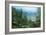 Artist's Impression of a Carboniferous Forest.-Ludek Pesek-Framed Photographic Print