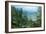 Artist's Impression of a Carboniferous Forest.-Ludek Pesek-Framed Photographic Print