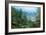 Artist's Impression of a Carboniferous Forest.-Ludek Pesek-Framed Photographic Print