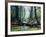 Artist's Impression of a Carboniferous Forest.-Ludek Pesek-Framed Photographic Print