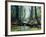 Artist's Impression of a Carboniferous Forest.-Ludek Pesek-Framed Photographic Print