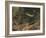 Artist's impression of deep sea scene with luminous fishes, 1903. Artist: Unknown-Unknown-Framed Giclee Print