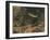 Artist's impression of deep sea scene with luminous fishes, 1903. Artist: Unknown-Unknown-Framed Giclee Print