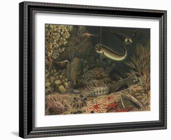 Artist's impression of deep sea scene with luminous fishes, 1903. Artist: Unknown-Unknown-Framed Giclee Print