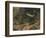 Artist's impression of deep sea scene with luminous fishes, 1903. Artist: Unknown-Unknown-Framed Giclee Print